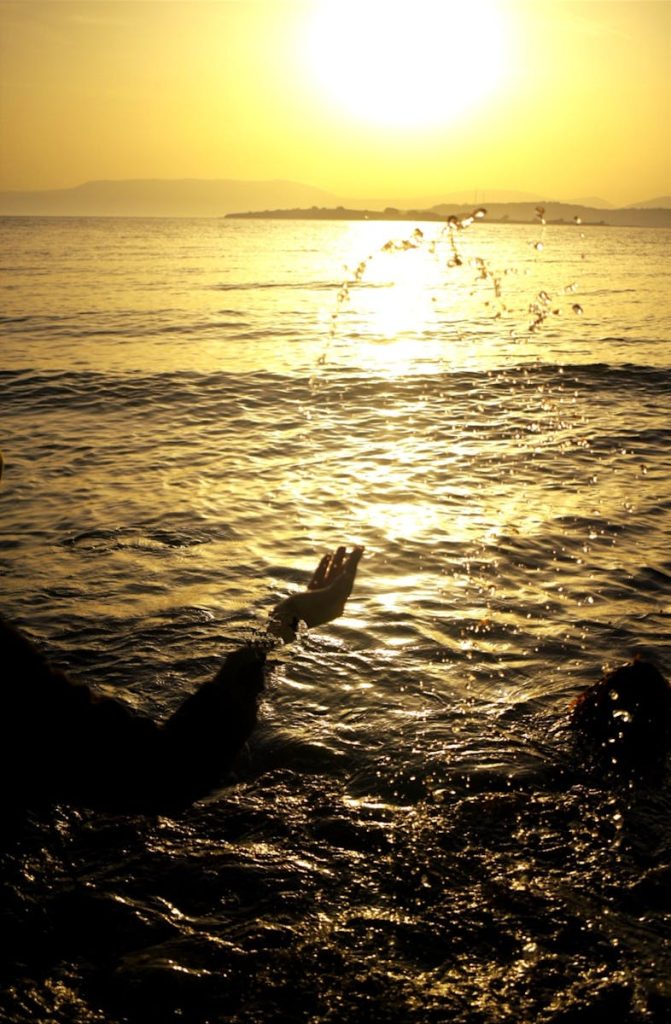 A person throwing a ball into the water at sunset