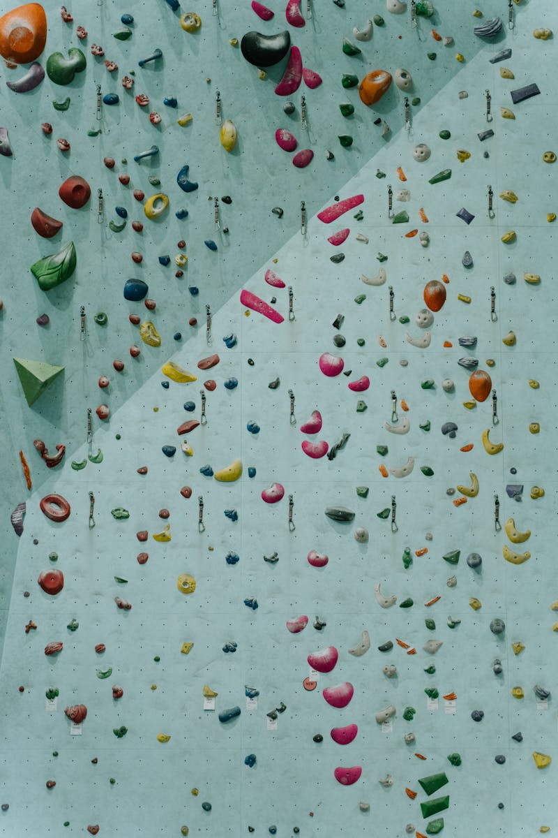 Colorful Climbing Holds on a Climbing Wall