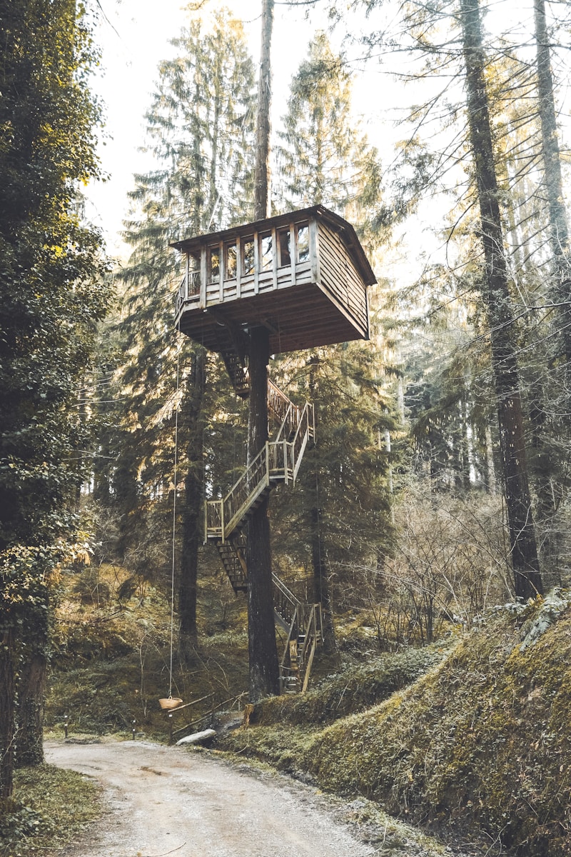 Guntersville Tree Houses: A Treetop Oasis in the Heart of Alabama