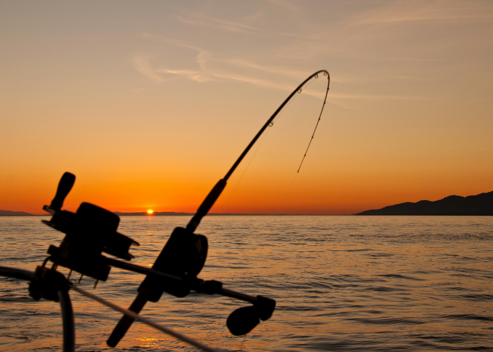 Reeling In Strength 100 Lb Test Fishing Line Takes Big Catch Challenges Head On