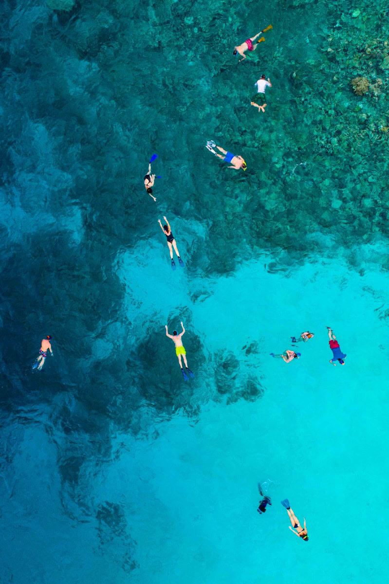 Snorkeling in Key West: A Guide to Exploring the Ocean’s Secrets