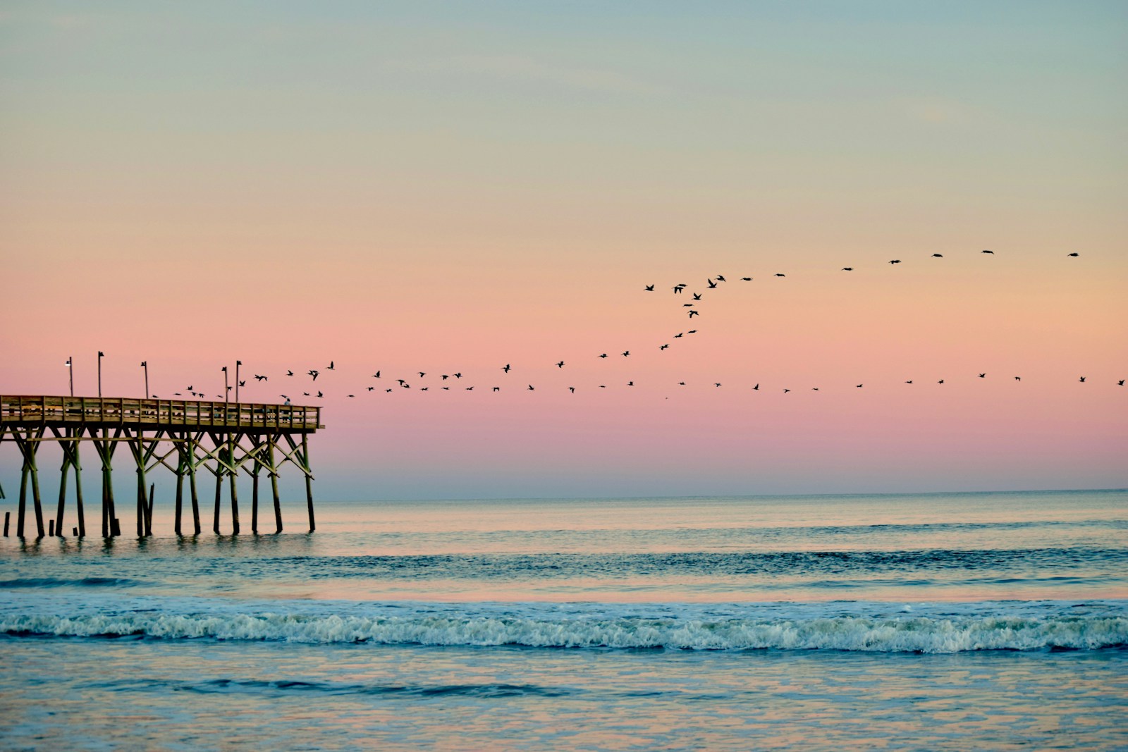 Raleigh NC to Beach: Uncover the Best Day Trips from the City to the Coast